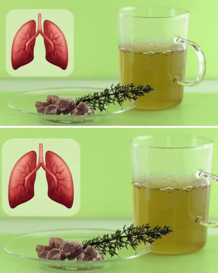 Tymianek eliminuje anginę paciorkowcową, grypę, zwalcza infekcje dróg oddechowych i wiele innych