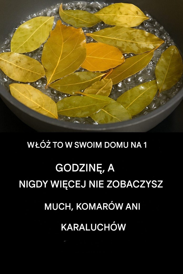 Pożegnaj się z muchami, komarami i karaluchami gotując te liście