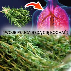 Żuj, aby rozpuścić śluz – Twoje płuca będą Cię kochać: Rozmaryn!