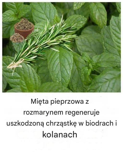 Wymieszaj rozmaryn z tymi składnikami: Regeneruje chrząstkę i nie tylko