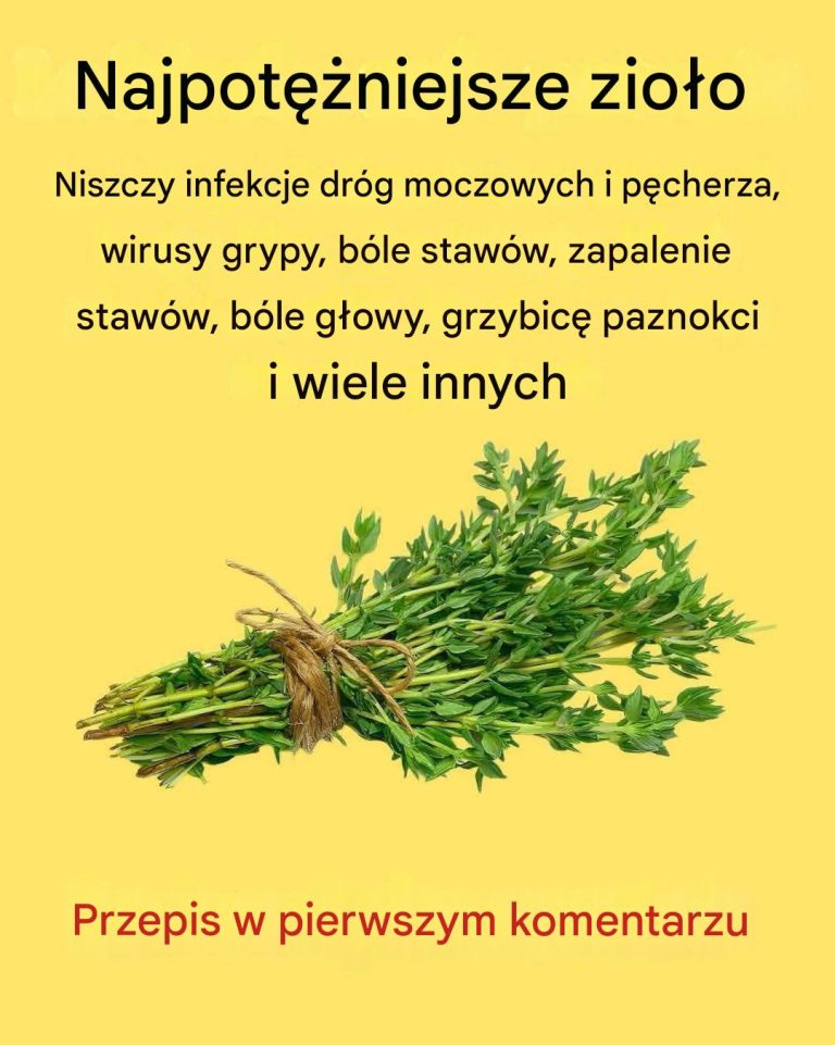 Najsilniejsze zioło: naturalny skarb dla zdrowia