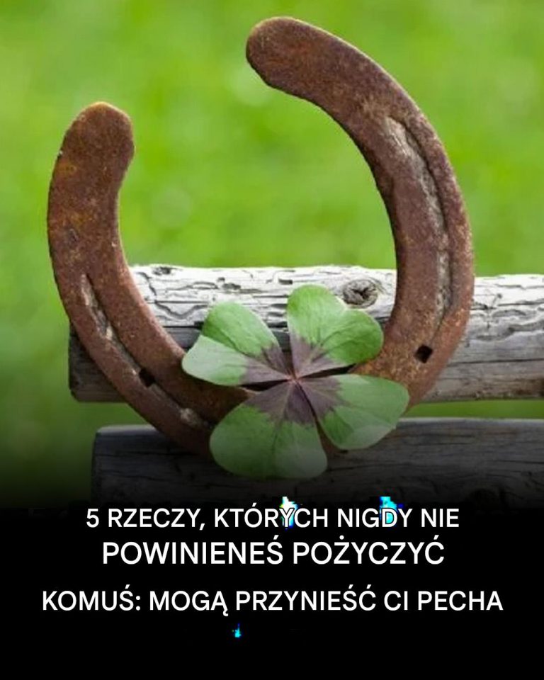 5 rzeczy, których nigdy nie powinieneś pożyczać komuś: mogą przynieść ci pecha!