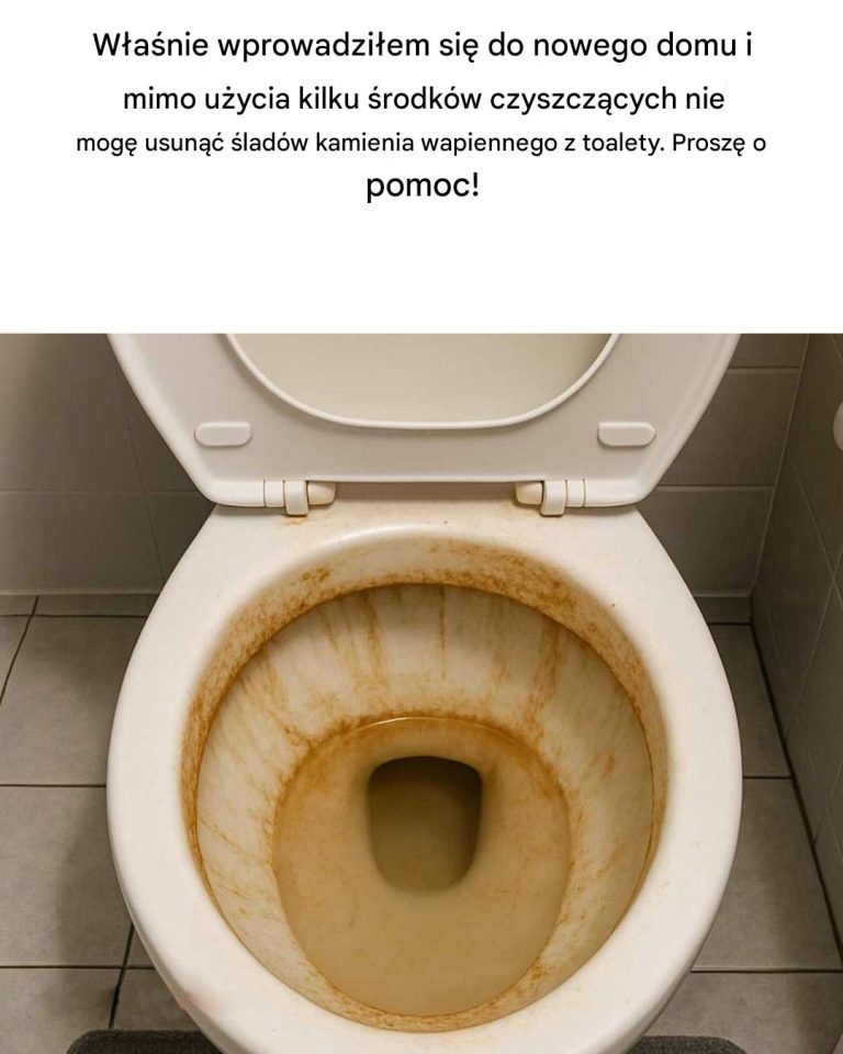 Jak usunąć kamień z toalety?