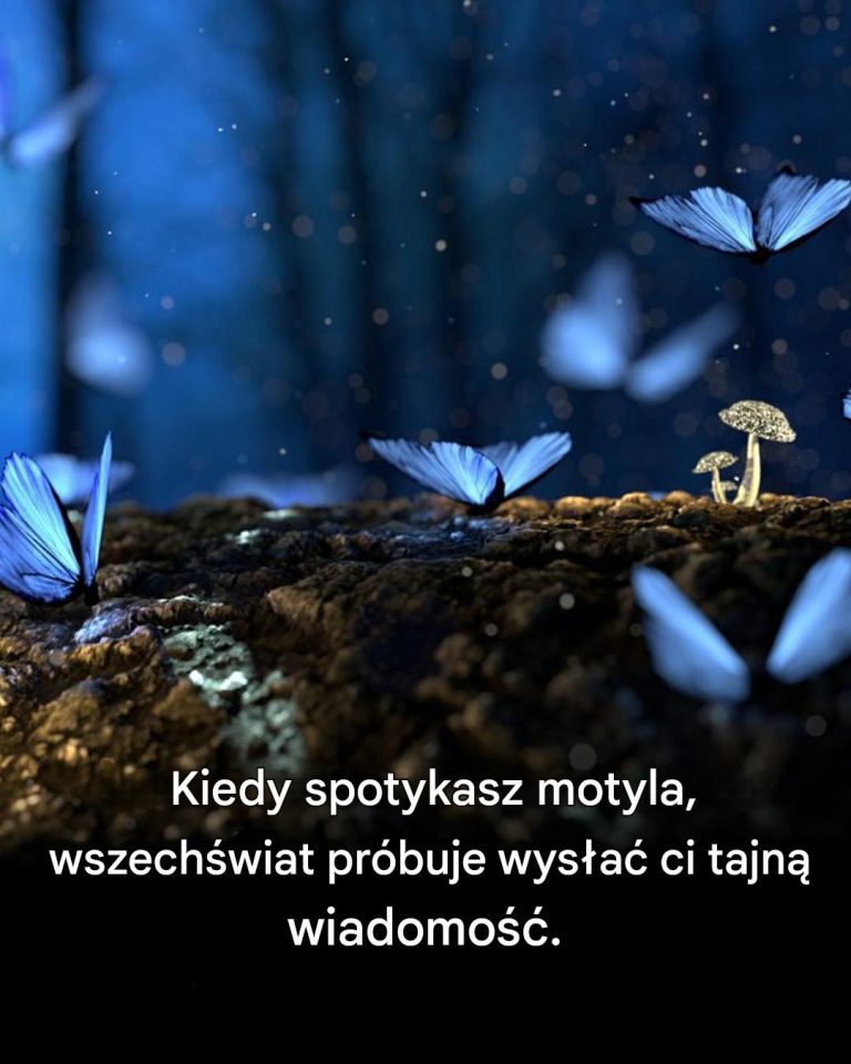 Motyle są duchowymi posłańcami. Oto, co mogą dla Ciebie oznaczać
