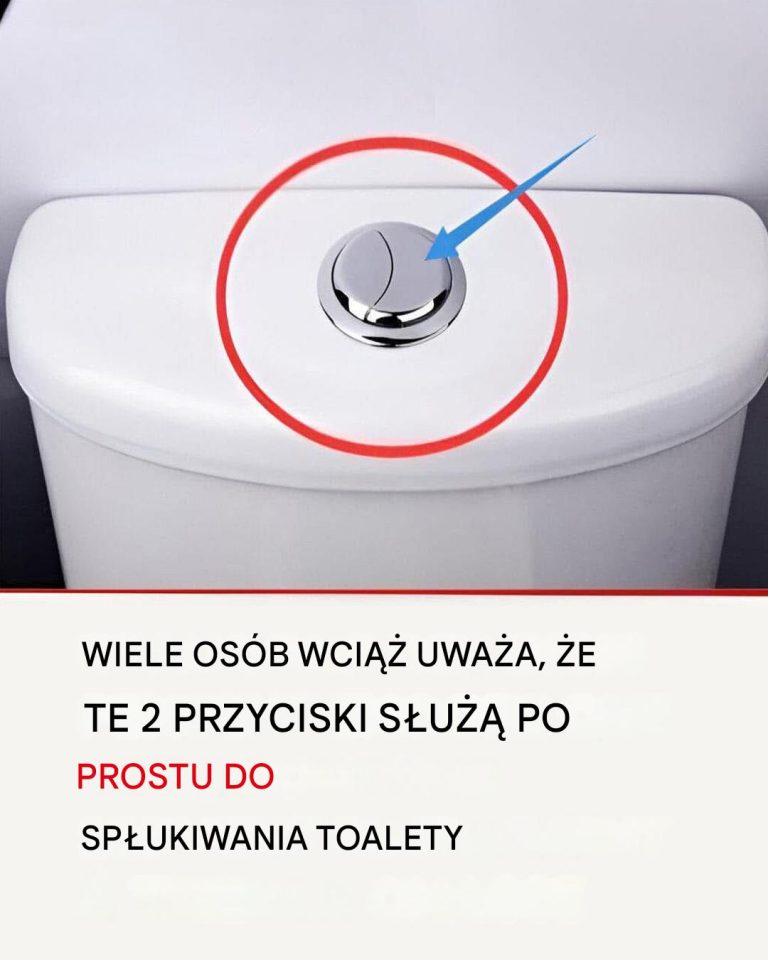 Wiele osób nadal uważa, że ​​te dwa przyciski służą tylko do spłukiwania wody w toalecie.