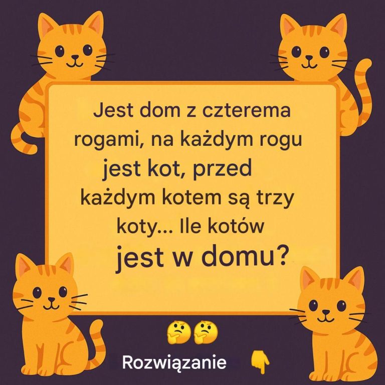 Zagadka dla inteligentnych Envoyer des commentaires Panneaux latéraux Historique Enregistrées