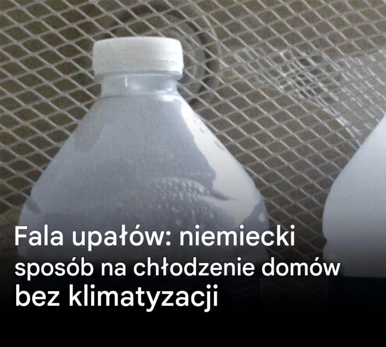 Fala upałów: niemiecki sposób na chłodzenie domów bez klimatyzacji