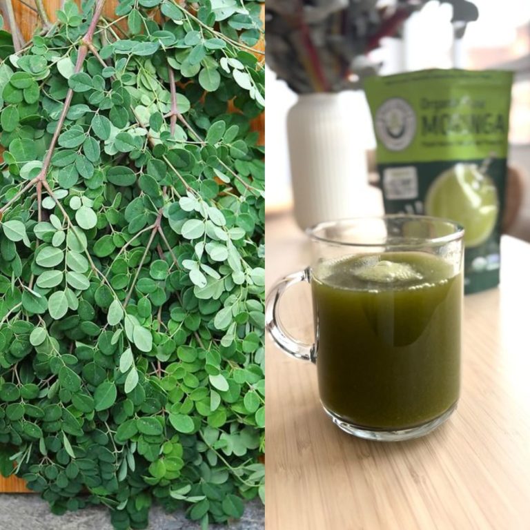 Do czego służy Moringa? 3 niesamowite korzyści