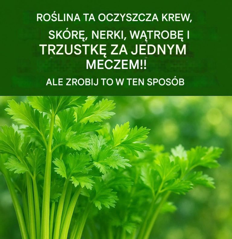Proszek z selera, cytryny i imbiru pomagający spalić tłuszcz