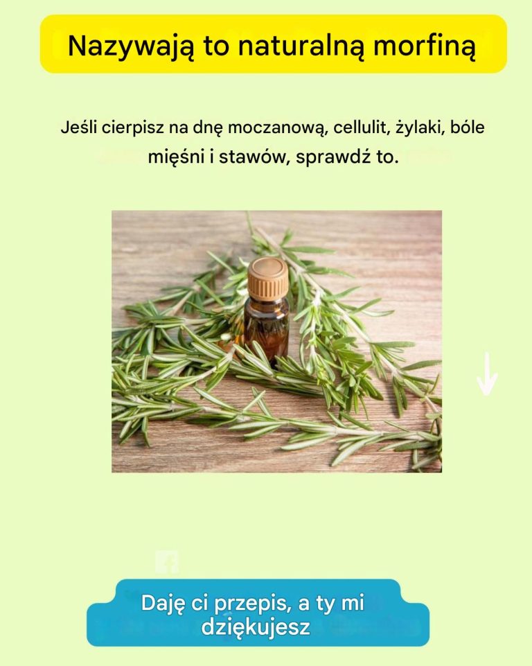 Rozmaryn i Moringa: Potężny Naturalny Lek – Kompletny Przewodnik Przygotowania