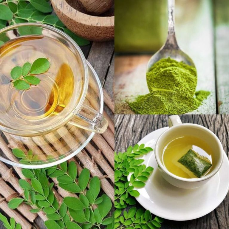 Jak zrobić herbatę moringa w domu