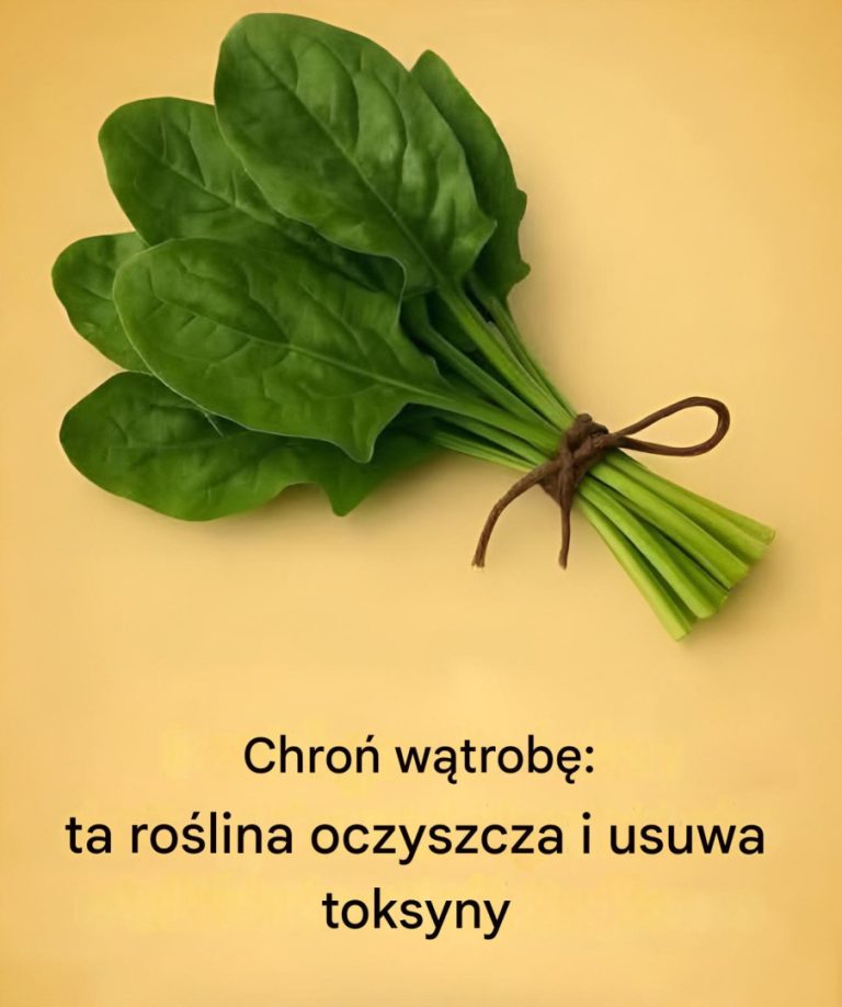Ten mało znany liść rewolucjonizuje trawienie i chroni wątrobę