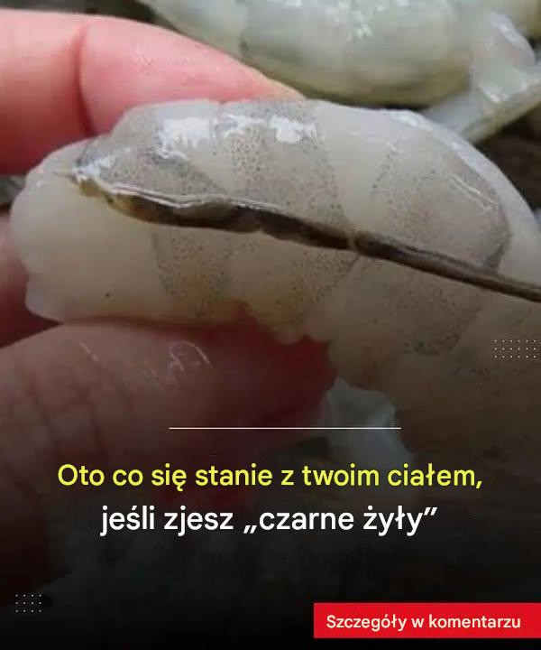 Co się stanie, jeśli zjesz czarną żyłkę w ogonie krewetki?