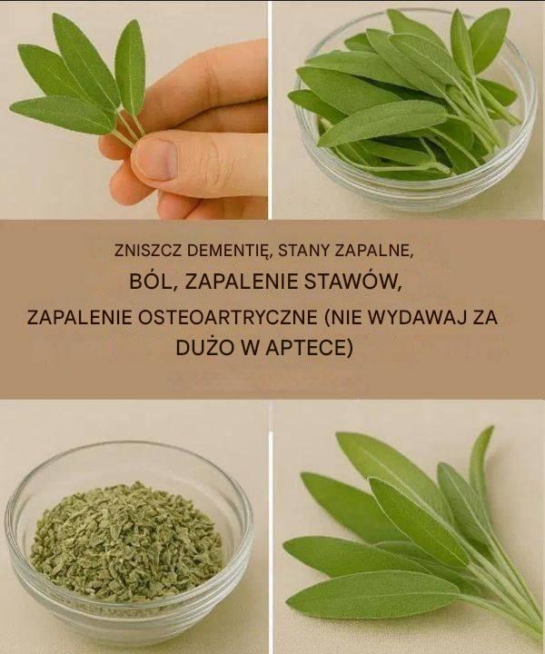 Naturalny cudowny środek na zdrowie mózgu, stany zapalne i bóle stawów