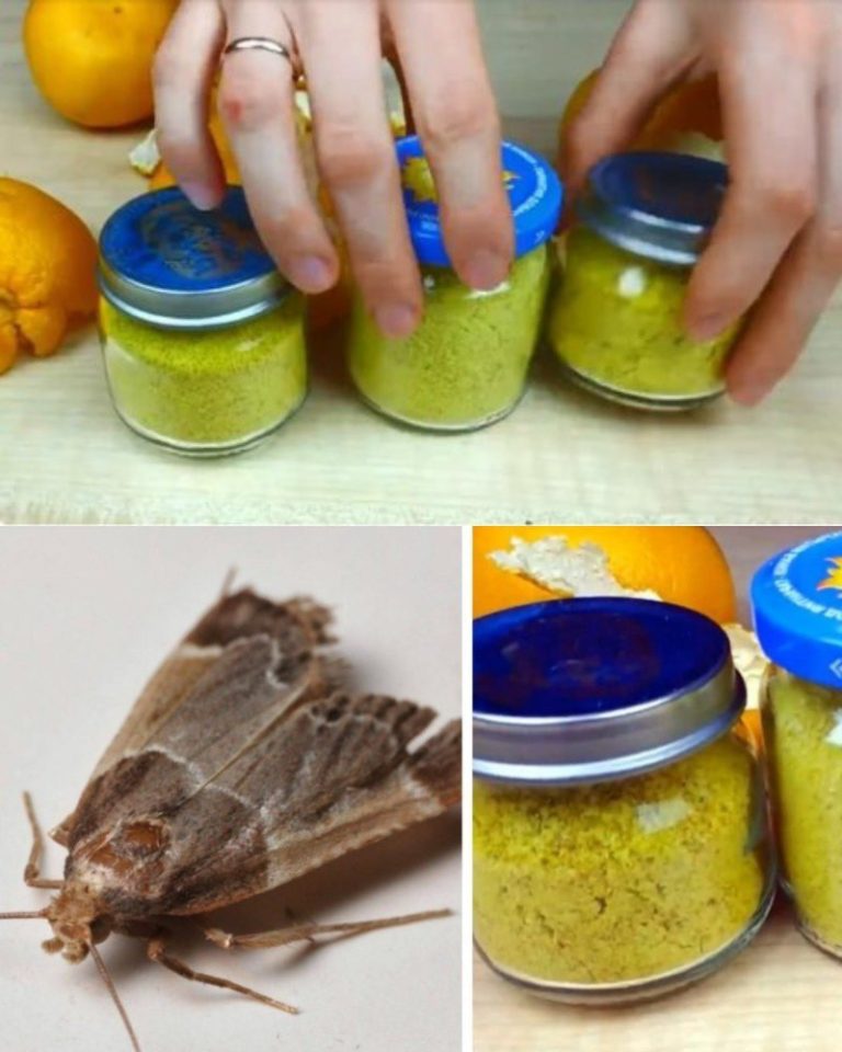 Z szafek zniknęły mole, a z domu stęchlizna. Naturalny odświeżacz powietrza w 5 minut