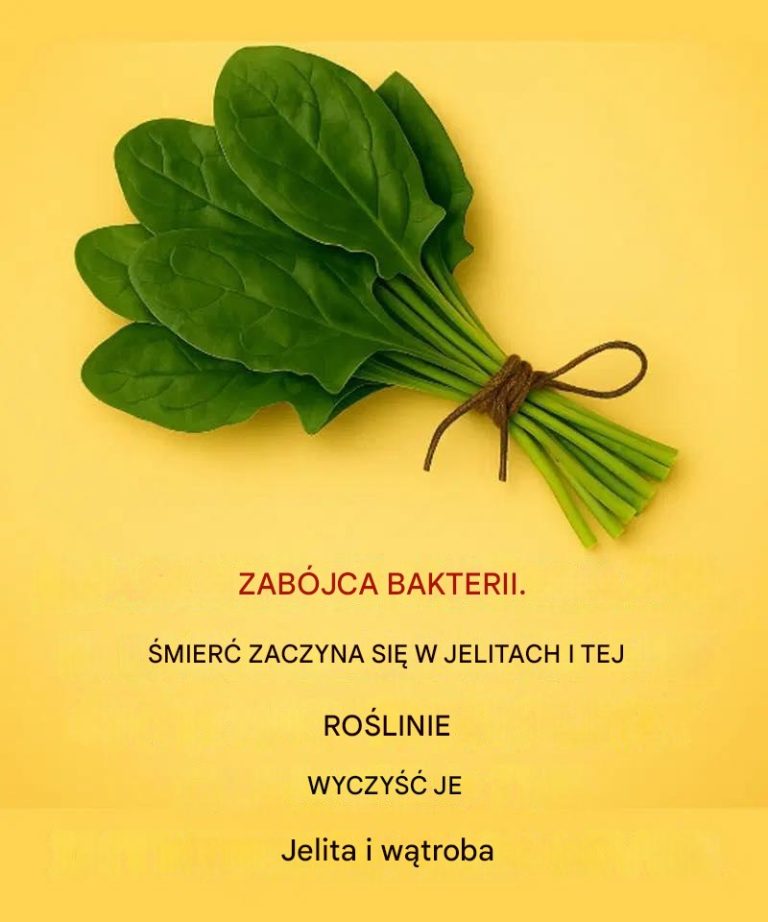 Porady i wskazówki: Jak używać tej rośliny do usuwania pasożytów i bakterii z jelit