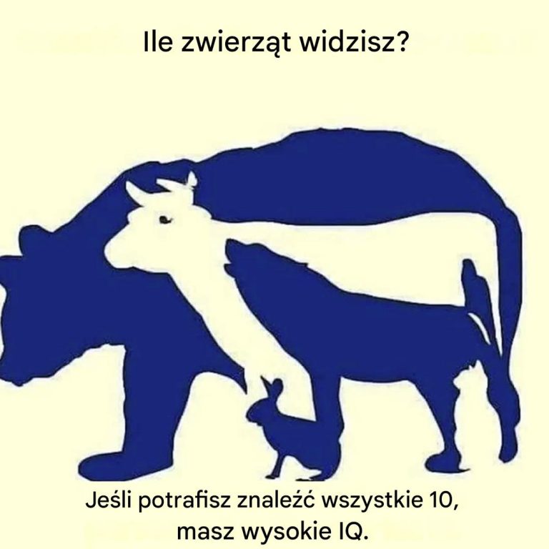 Czy potrafisz znaleźć 10 zwierząt na obrazku?😊