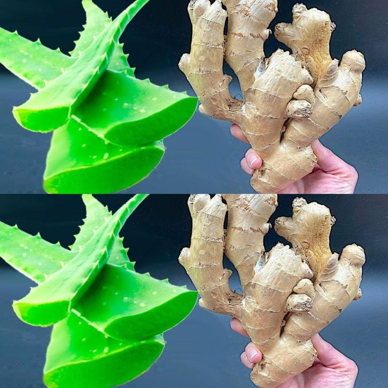 Odkryj sekret dekady dobrego zdrowia: aloes i imbir