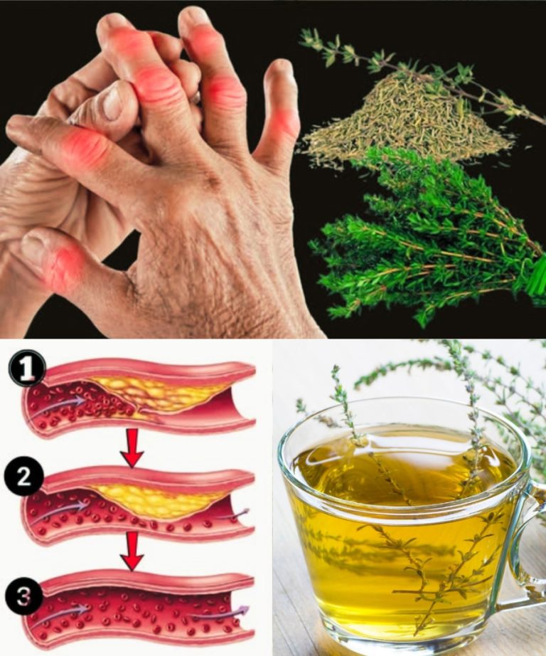 8 zaskakujących korzyści i zastosowań tymianku