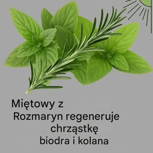 Pij, aby wzmocnić prostatę o 90% i zapobiegać rakowi. Przywraca również pamięć.