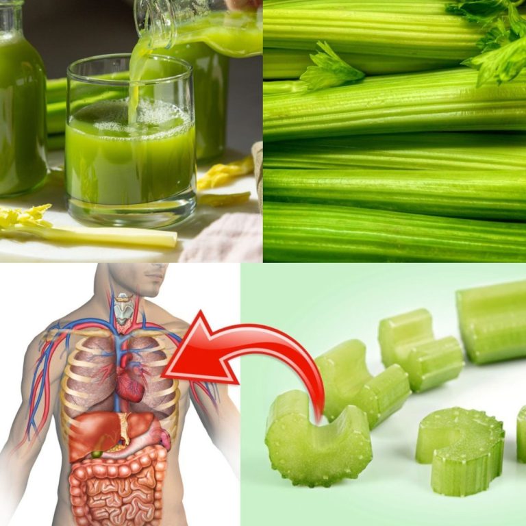 10 zaskakujących povwodów, dla których warto jeść więcej selera