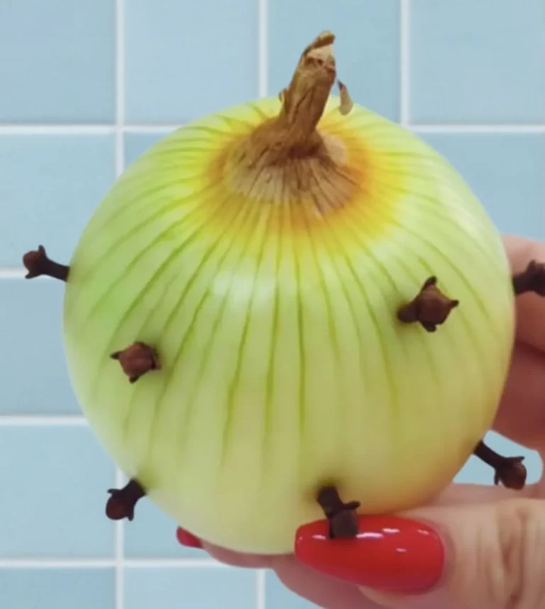 Zaskakujący gest mojej babci: wbicie goździka w cebulę