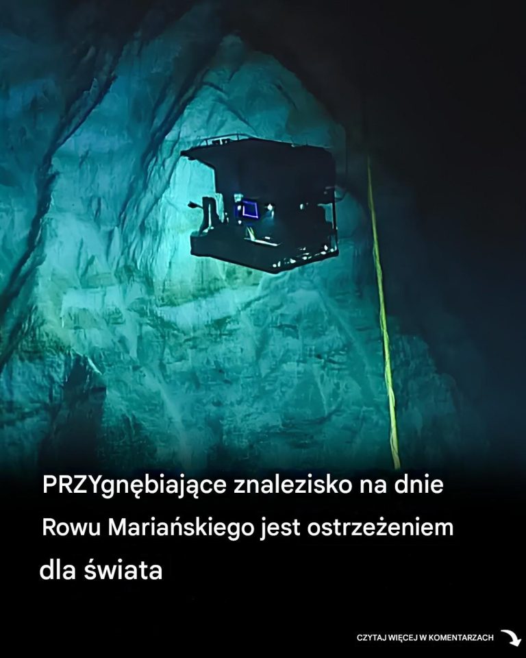Przygnębiające odkrycie na dnie Rowu Mariańskiego jest ostrzeżeniem dla świata