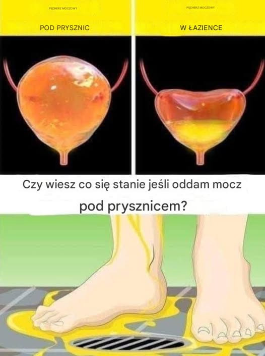 Jeśli oddajesz mocz pod prysznicem, uważaj, powinieneś wiedzieć, że… Zobacz więcej