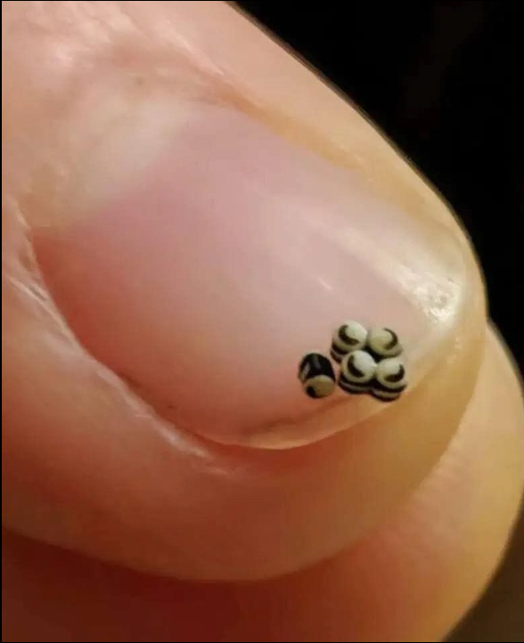 Zamówiliśmy sałatkę, ale w jedzeniu były drobne czarne plamki – pojechaliśmy prosto do szpitala