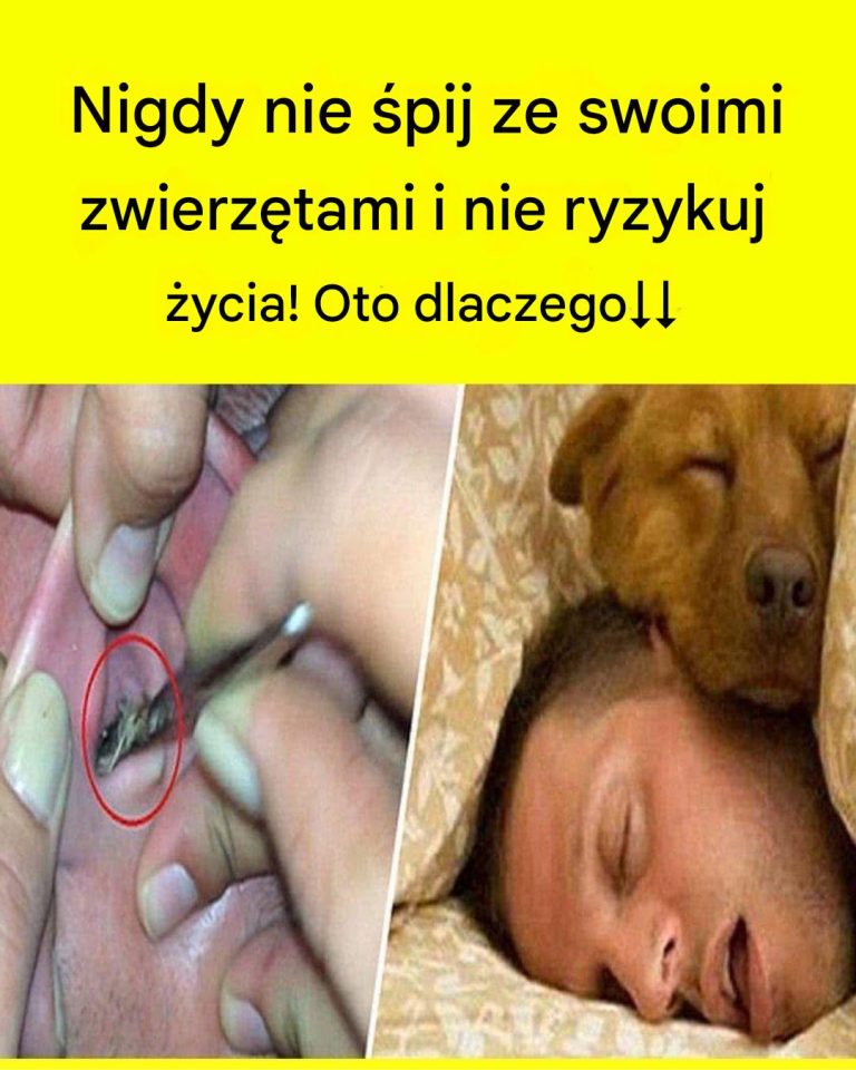 Nie śpij ze swoimi zwierzętami, nie ryzykuj życiem, oto dlaczego