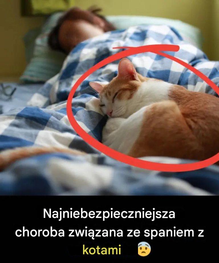 Spanie z kotem: miłe towarzystwo czy zagrożenie dla zdrowia?