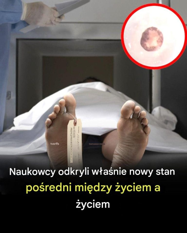 Naukowcy odkryli „trzeci stan” poza życiem i śmiercią w przełomowym odkryciu