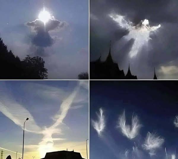 Mój brat zrobił te zdjęcia. Na początku nic nie zauważyłem, ale po bliższym przyjrzeniu się zobaczyłem coś, co mnie naprawdę zaskoczyło.