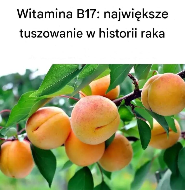 Witamina B17: Największy kamuflaż nowotworowy w historii – Suplementy diety