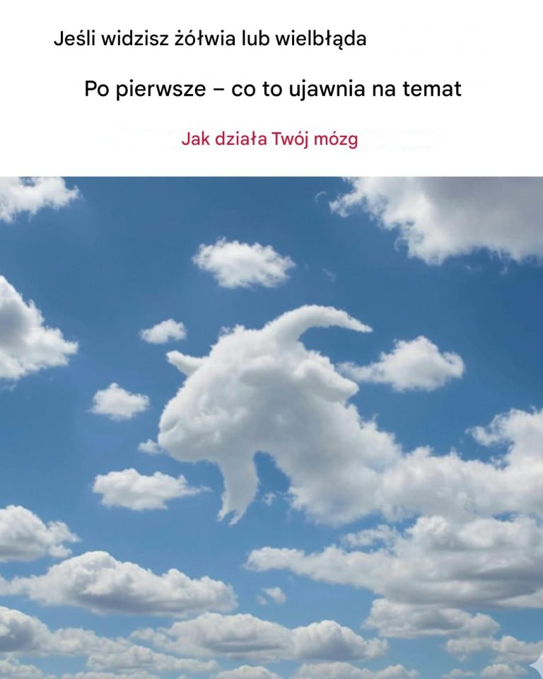 Co się stanie, jeśli najpierw zobaczysz żółwia lub wielbłąda? — Co to mówi o działaniu twojego mózgu