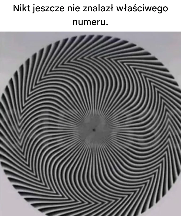 W tej iluzji optycznej kryje się liczba, którą nie wszyscy postrzegają w ten sam sposób.