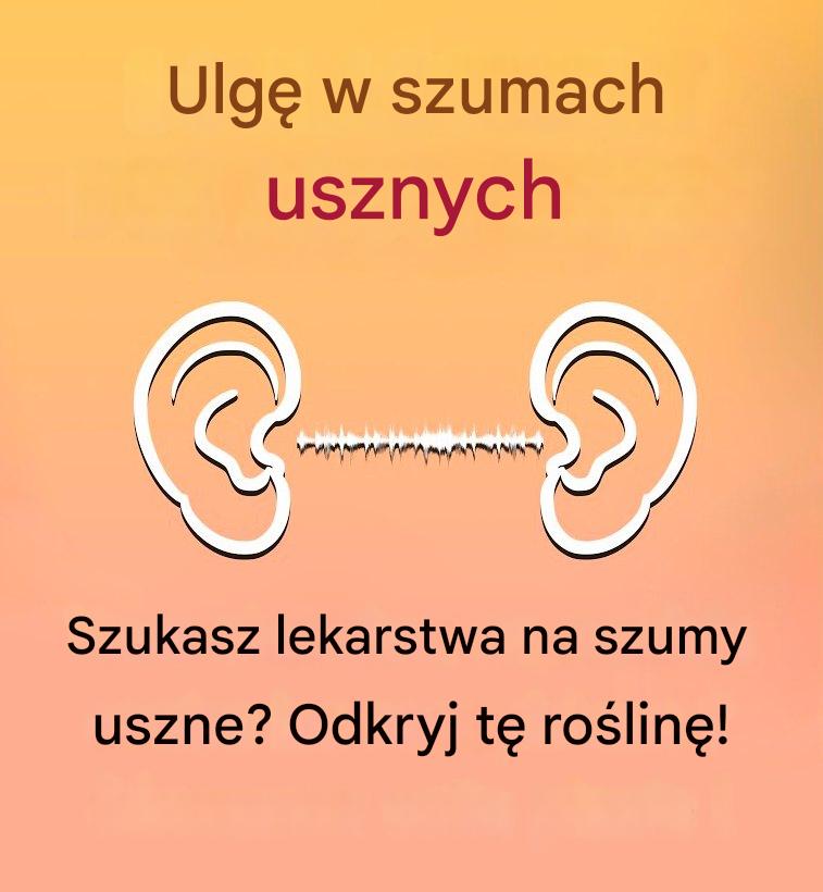 Szukasz lekarstwa na szumy uszne? Odkryj tę roślinę!