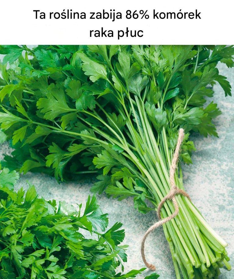 Ta roślina zabija 86% komórek raka płuc