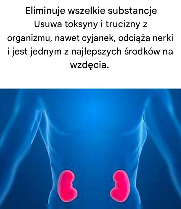 Uzdrowiciel, bez którego nie możesz żyć: węgiel aktywowany