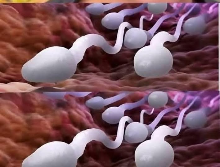 Lekarze ujawniają, że połykanie prowadzi do… Zobacz więce