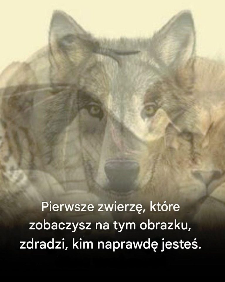 Pierwsze zwierzę, które zobaczysz na tym obrazku, zdradzi kim jesteś.