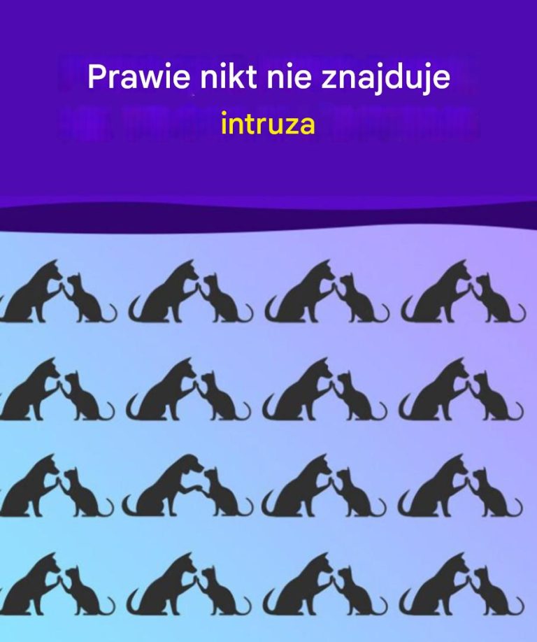 Chociaż nie da się wytrenować mózgu na siłowni, nadal potrzebuje on od czasu do czasu stymulacji. Podejmowanie nowych wyzwań pomaga w poprawie takich funkcji, jak rozwiązywanie problemów i koncentracja na szczegółach. Zobacz mniej